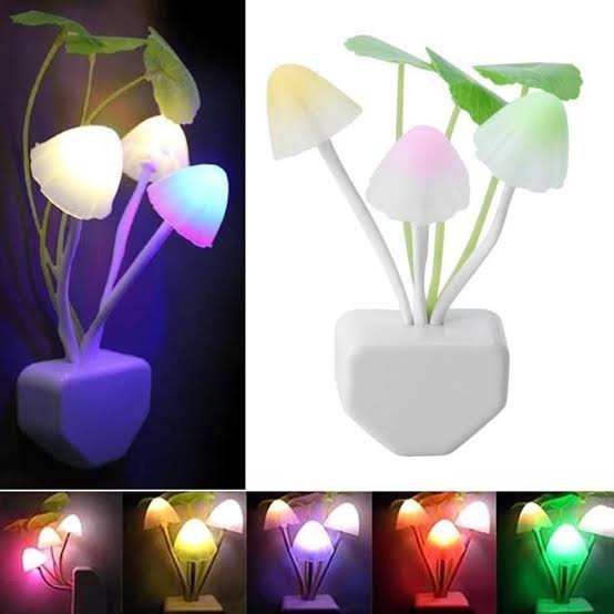 Fuxin - Mushroom Lights