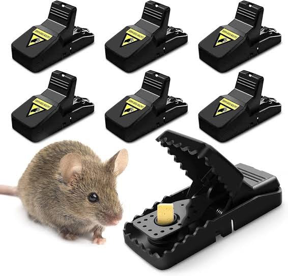 Fuxin - Plastic Mouse Trap